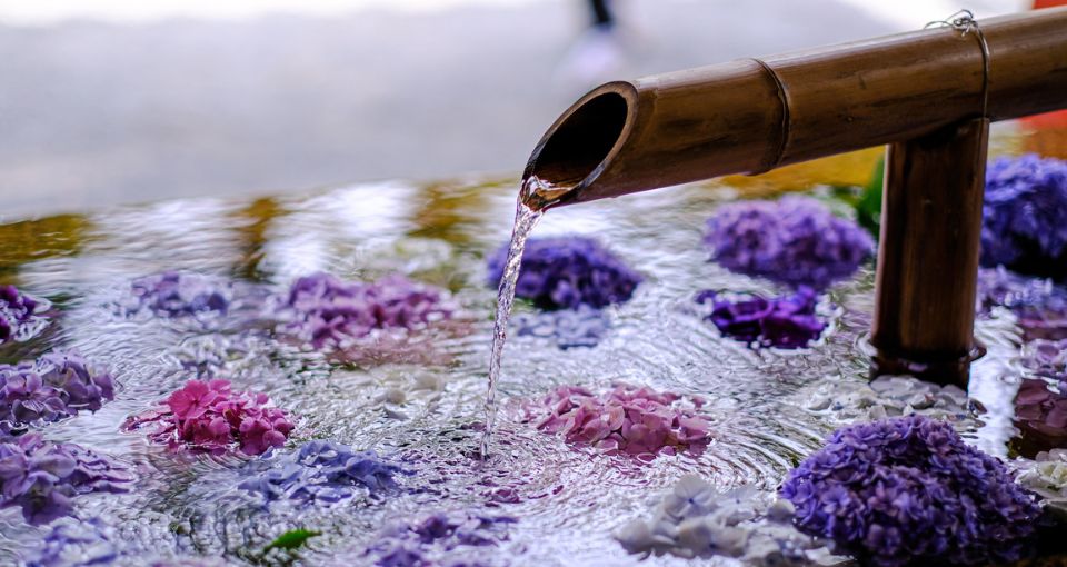お寺にある、お参りの前に手や口を清める手水舎に飾られた花手水。紫陽花が綺麗に浮かべられている。