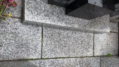 目地の隙間から雑草や苔、カビが生えて景観を損ねている